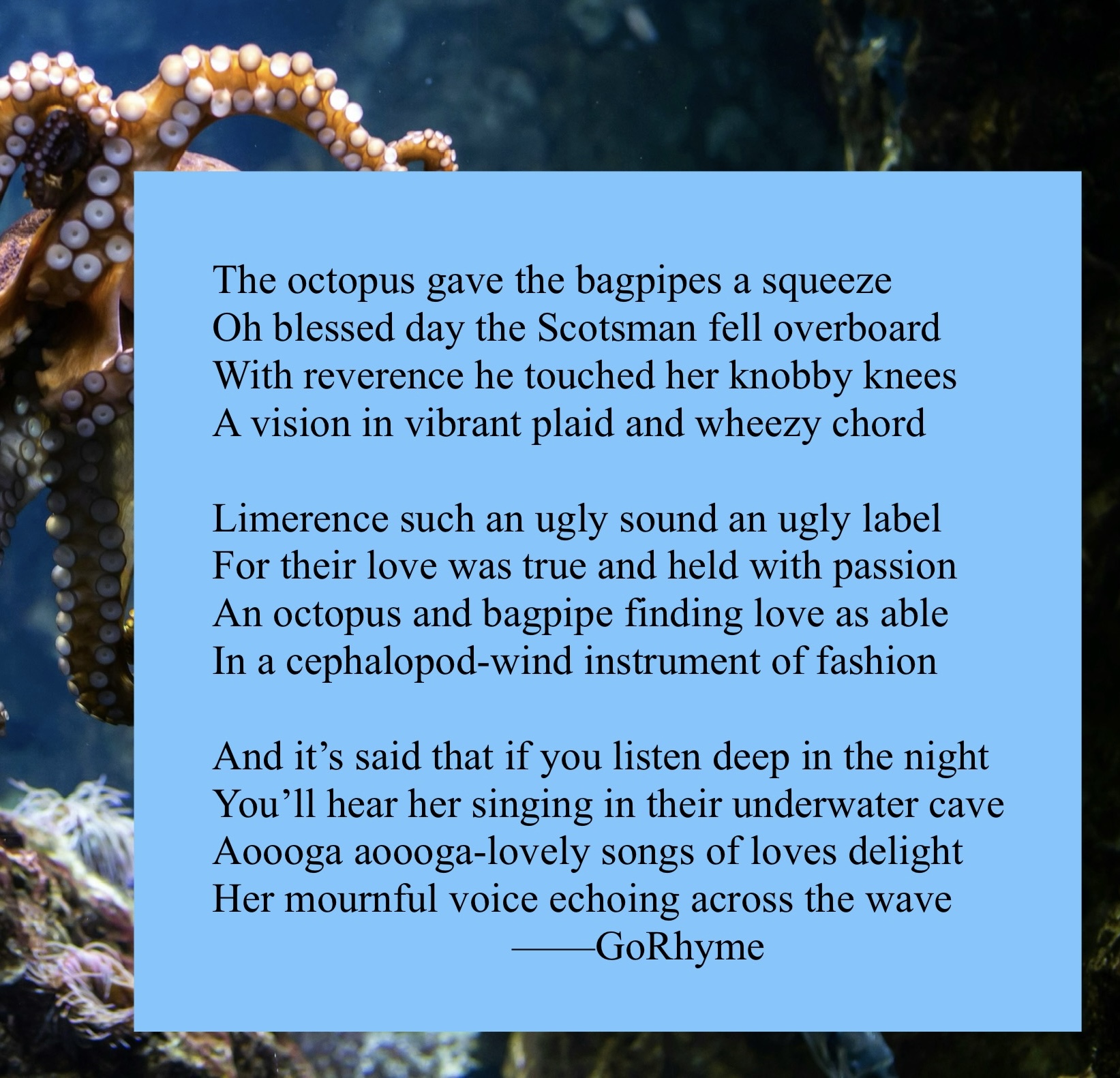 Poetry by Kelly Gray